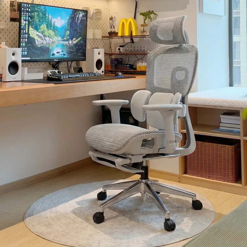 Ergonomic Office Chair with Lu - Home Office Desk recension och pris